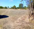 Снимка 4 — Парцел в Стара Загора, с. Средец