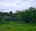 Снимка 5 — Парцел в Стара Загора, с. Средно ище