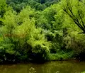Снимка 3 — Парцел в Стара Загора, с. Средногорово