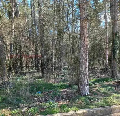 Photo 2 — Plot in Oblast Stara Zagora, Starozagorski Bani