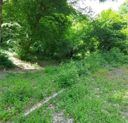 Снимка 2 — Парцел в Стара Загора, с. Старозагорски бани