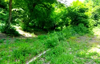 Парцел в Стара Загора, с. Старозагорски бани
