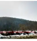 Парцел в Стара Загора, с. Старозагорски бани