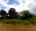 Снимка 2 — Парцел в Стара Загора, с. Сулица