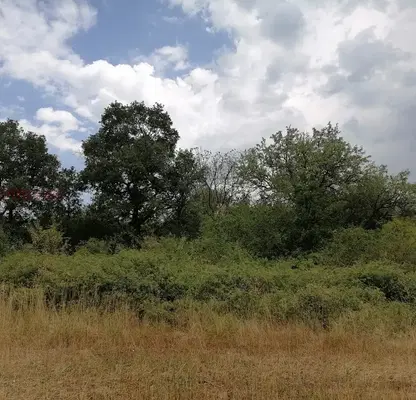 Снимка 2 — Парцел в Стара Загора, с. Сулица