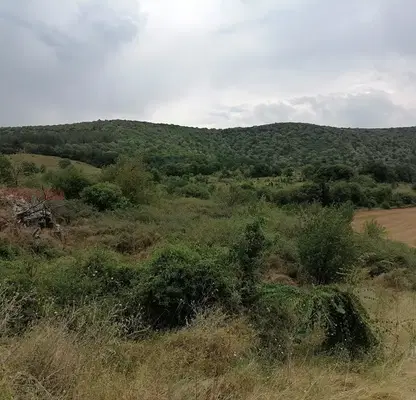 Снимка 3 — Парцел в Стара Загора, с. Сулица