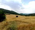 Снимка 4 — Парцел в Стара Загора, с. Сулица