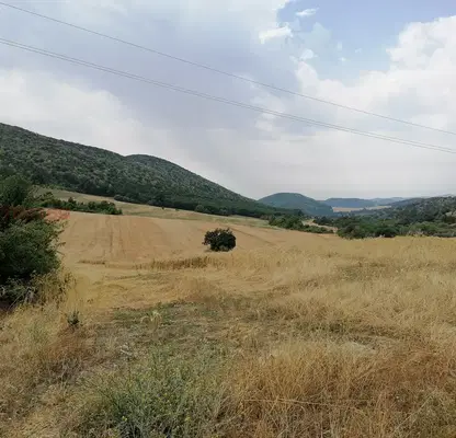 Снимка 4 — Парцел в Стара Загора, с. Сулица