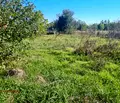 Снимка 2 — Парцел в Стара Загора, с. Сърнево