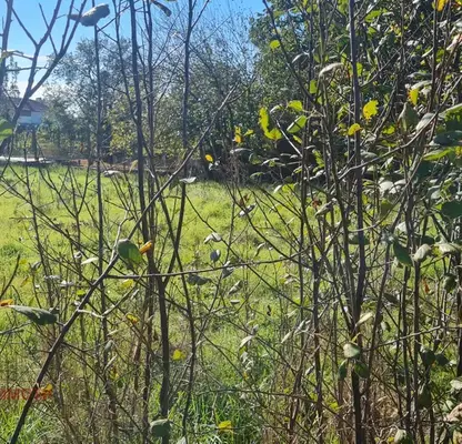 Photo 3 — Plot in Oblast Stara Zagora, Syrnevo