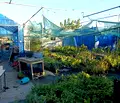Снимка 2 — Парцел в Стара Загора, с. Сърнево