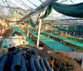 Снимка 4 — Парцел в Стара Загора, с. Сърнево