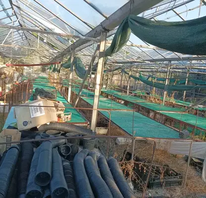 Снимка 4 — Парцел в Стара Загора, с. Сърнево