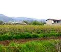 Снимка 3 — Парцел в Стара Загора, с. Тъжа