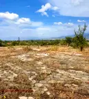 Парцел в Стара Загора, с. Ягода