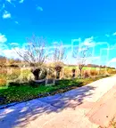 Парцел в Стара Загора, с. Златна ливада