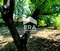 Снимка 3 — Парцел в Търговище, с. Априлово