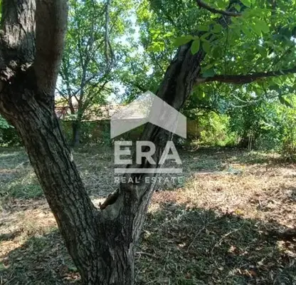 Снимка 3 — Парцел в Търговище, с. Априлово