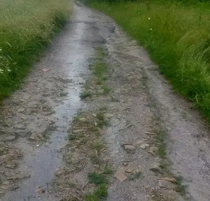 Photo 2 — Plot in Oblast Tyrgovishte, Lyubichevo