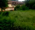 Снимка 3 — Парцел в Търговище, с. Любичево