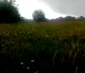 Снимка 4 — Парцел в Търговище, с. Любичево
