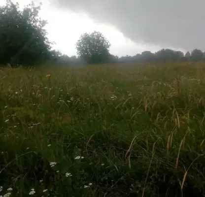 Photo 4 — Plot in Oblast Tyrgovishte, Lyubichevo