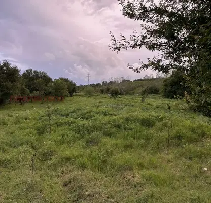 Photo 4 — Plot in Oblast Tyrgovishte, Medovina