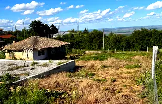 Парцел в Търговище, с. Момино