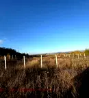 Парцел в Търговище, с. Овчарово