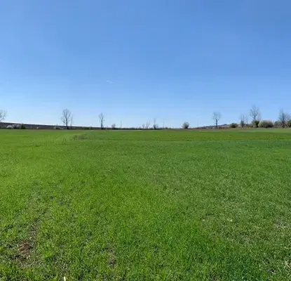 Снимка 3 — Парцел в Търговище, с. Паламарца