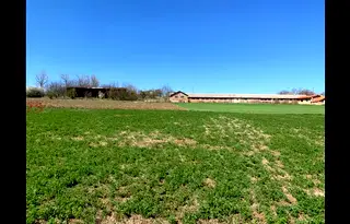 Парцел в Търговище, с. Паламарца