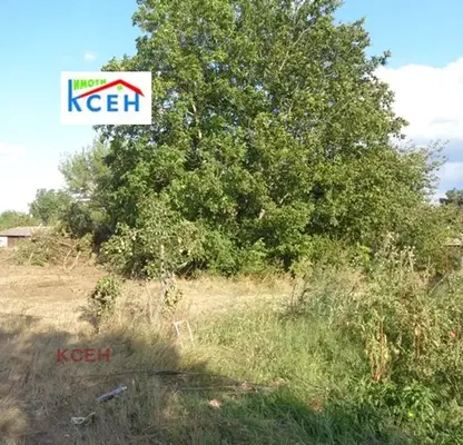 Снимка 3 — Парцел в Търговище, с. Певец