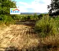 Снимка 5 — Парцел в Търговище, с. Певец