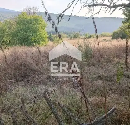 Photo 4 — Plot in Oblast Tyrgovishte, Rosica