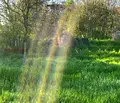 Снимка 3 — Парцел в Търговище, с. Водица