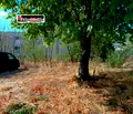 Снимка 2 — Парцел във Варна, Аксаково