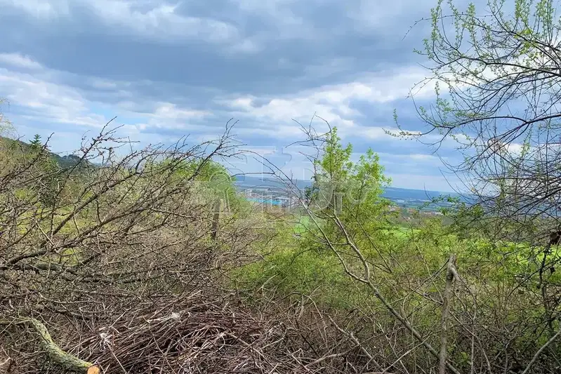 Plot in Oblast Varna, Aksakovo
