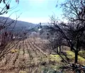 Снимка 2 — Парцел във Варна, Аксаково