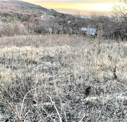 Photo 4 — Plot in Oblast Varna, Aksakovo