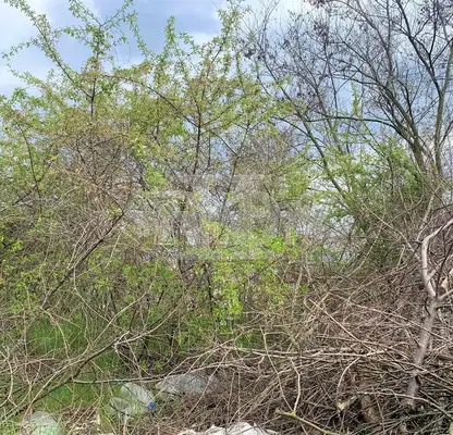 Photo 2 — Plot in Oblast Varna, Aksakovo