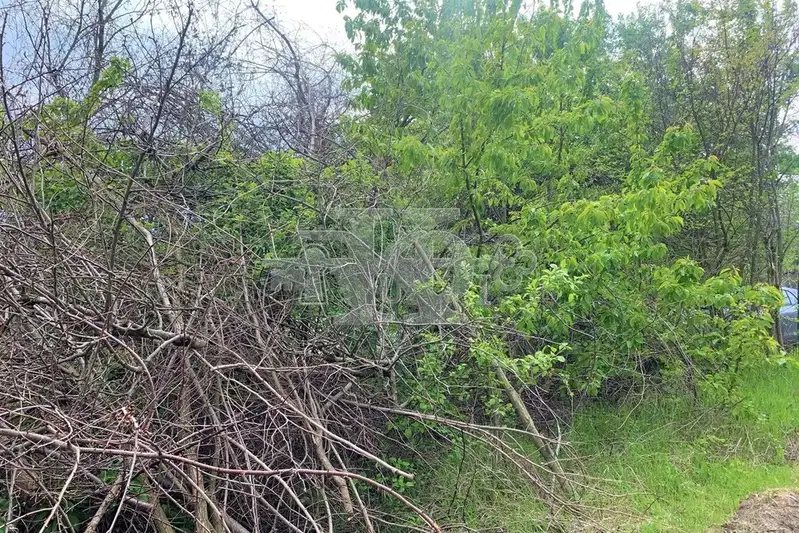 Plot in Oblast Varna, Aksakovo