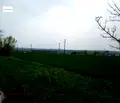 Снимка 2 — Парцел във Варна, Аксаково