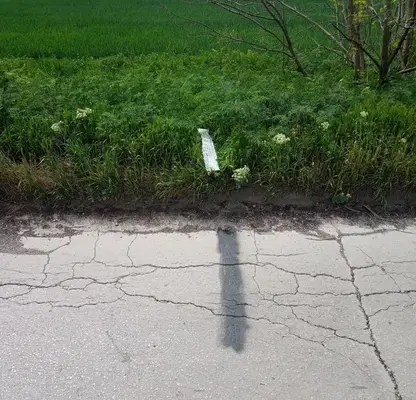 Photo 3 — Plot in Oblast Varna, Aksakovo
