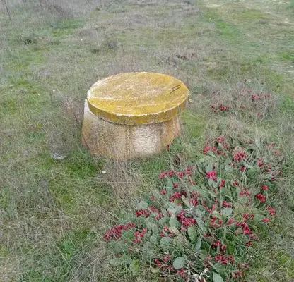 Photo 4 — Plot in Oblast Varna, Beloslav