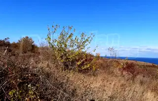 Парцел във Варна, Бяла