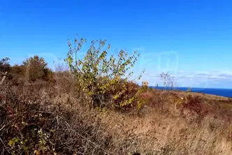 Парцел във Варна, Бяла