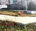 Снимка 5 — Парцел във Варна, Бяла
