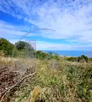 Парцел във Варна, Бяла