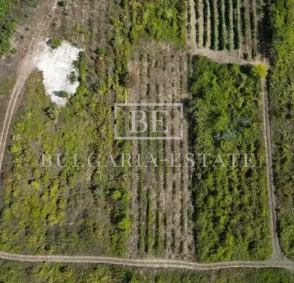 Photo 5 — Plot in Oblast Varna, Byala