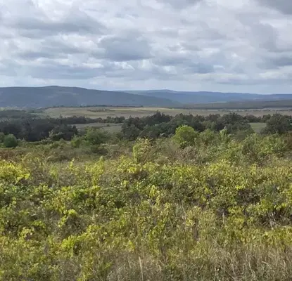 Photo 4 — Plot in Oblast Varna, Byala
